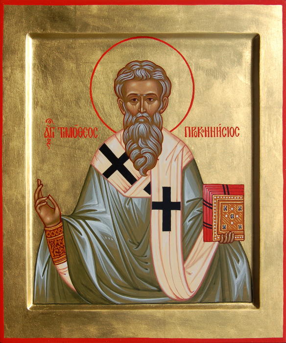 Икона святого чудотворца святителя Тимофея Проконнесского